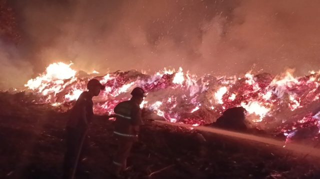 Petugas pemadam kebakaran berjibaku memadamkan kobaran api yang membakar tumpukan limbah kayu di Lumajang.
