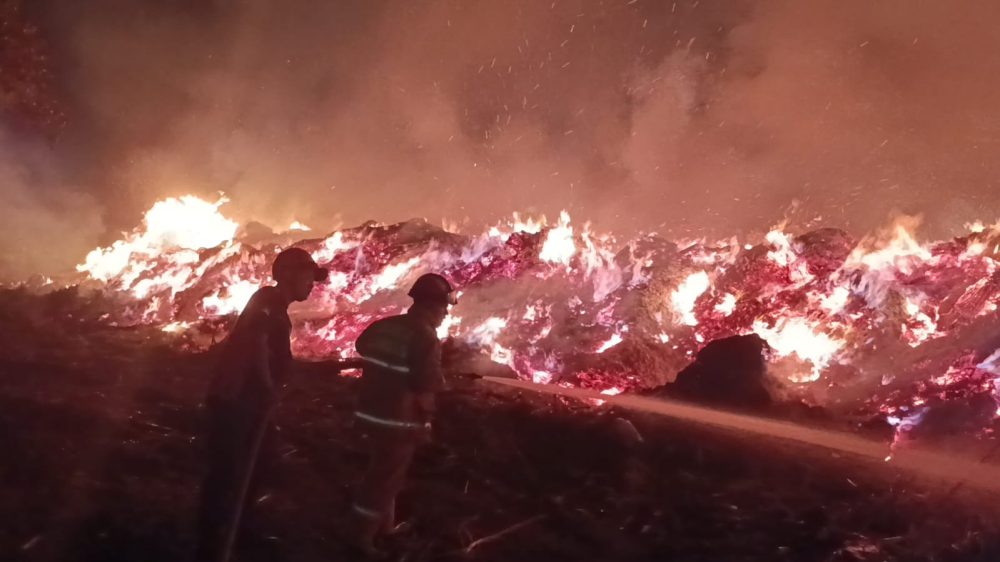 Petugas pemadam kebakaran berjibaku memadamkan kobaran api yang membakar tumpukan limbah kayu di Lumajang.