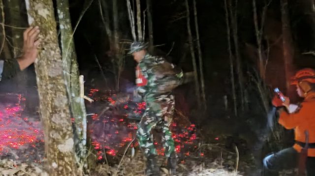 Karhutla Kembali Terjadi di Lumajang, 3 Hektare Hutan Blok Gunung Fuji Hangus