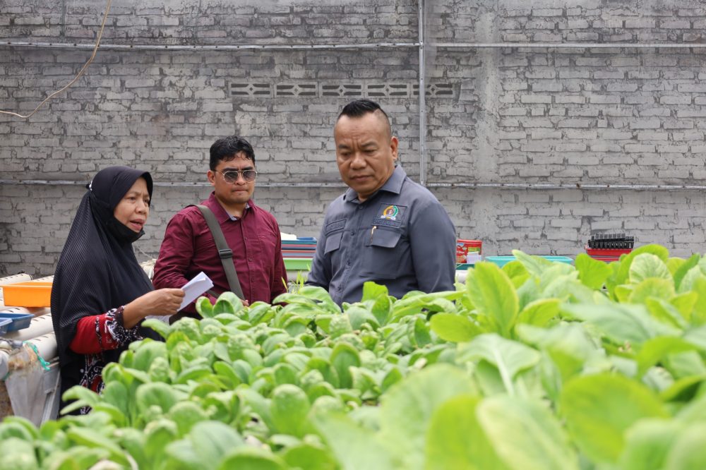 Cak Yebe meninjau kebun hidroponik warga di Kedurus Surabaya