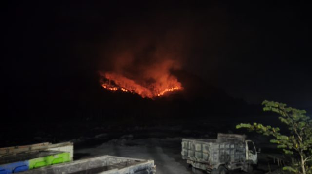 Hutan Gajah Mungkur di Lumajang Terbakar, Sekitar 2 Hektar Lahan Terdampak