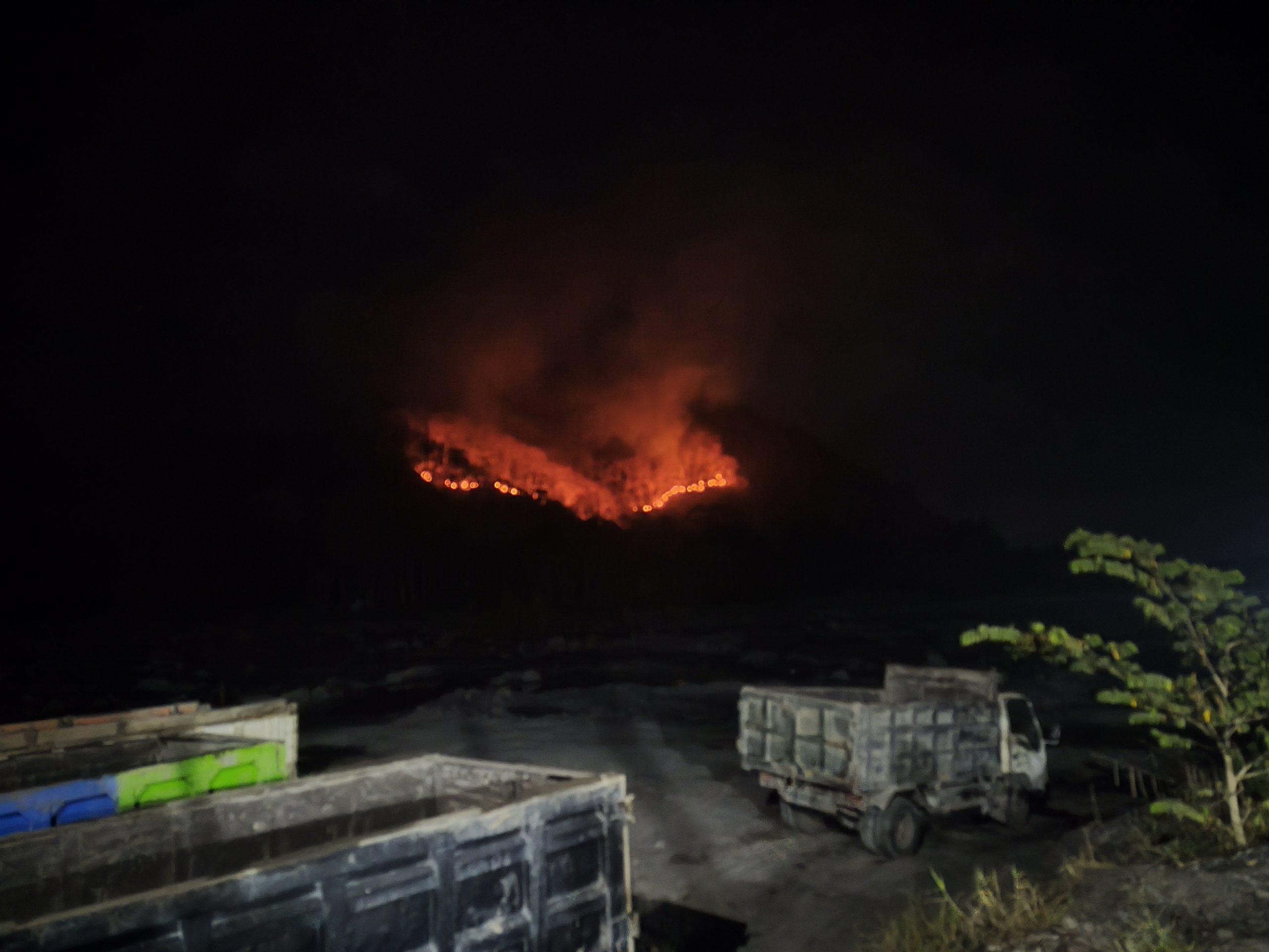 Hutan Gajah Mungkur di Lumajang Terbakar, Sekitar 2 Hektar Lahan Terdampak