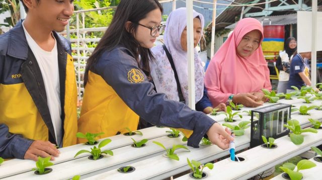 Ringankan Beban Lansia, Mahasiswa ITS Hadirkan Teknologi Otomatisasi Hidroponik Berbasis Surya