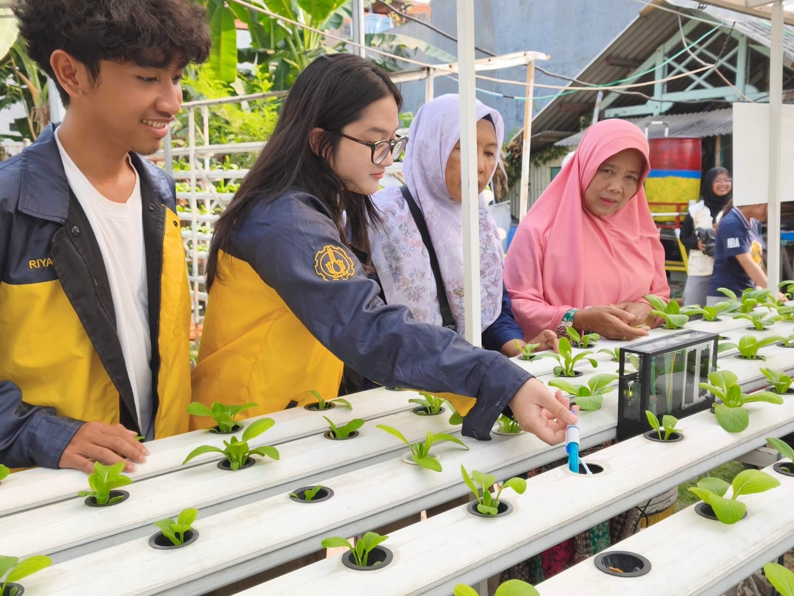 Ringankan Beban Lansia, Mahasiswa ITS Hadirkan Teknologi Otomatisasi Hidroponik Berbasis Surya